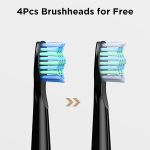 Fairywill Water Dental Flosser Teeth Portable Cordless USB Oral Irrigator Cleaner IPX7 Waterproof Electric Toothbrush Set Home